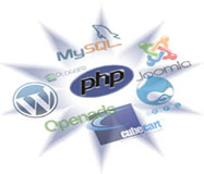 PHP Web Development by Netwise Designs